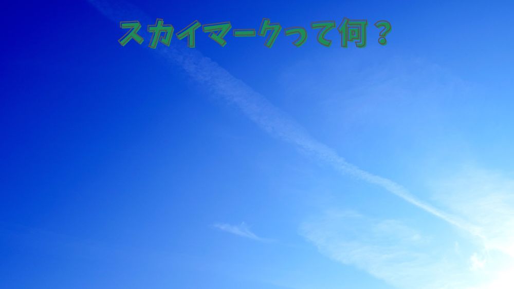 スカイマークって何？