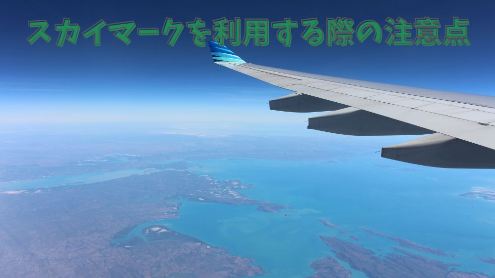 スカイマークを利用する際の注意点